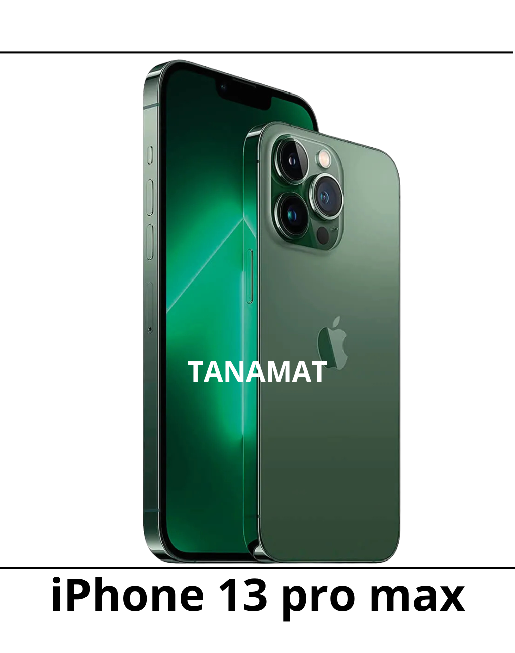 iPhone 13 pro max
