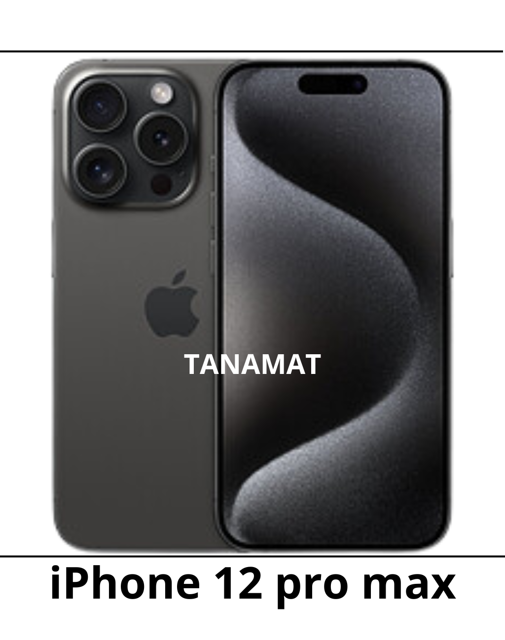 iPhone 12 pro max